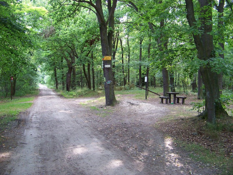 Klánovický_les,_rozcestník_u_Nových_Dvorů.jpg