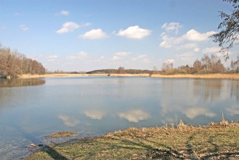 Bohdanečský rybník a rybník Matka.jpg