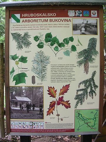360px-Arboretum_Bukovina,_tabule_naučné_stezky.jpg