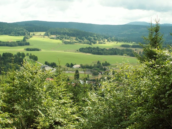 Obrázek