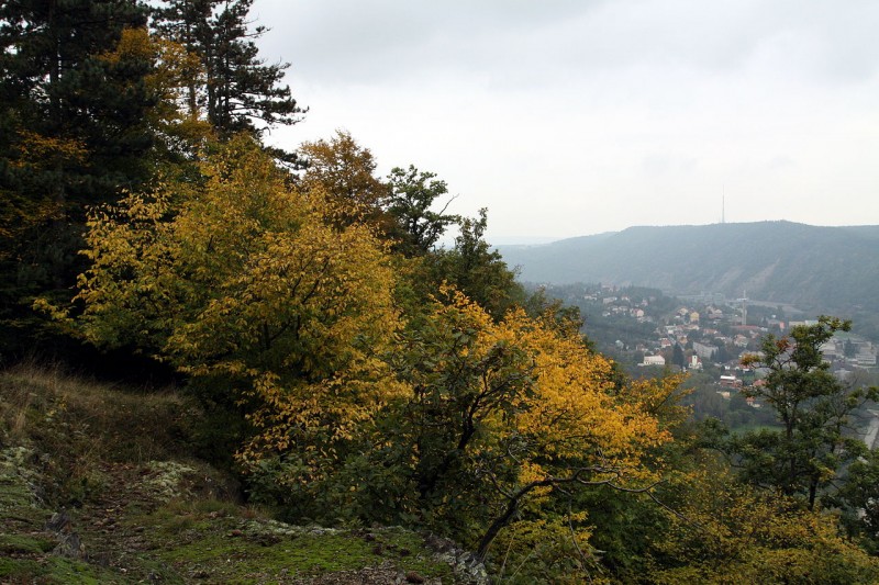 Nature_reserve_Zvolská_homole_in_autumn_2014_(5).JPG