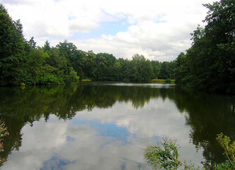 1280px-Kamenice,_Dvorský_Pond.jpg