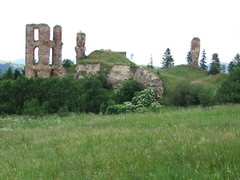 800px-Plaveč_Castle_GC1[1].jpg