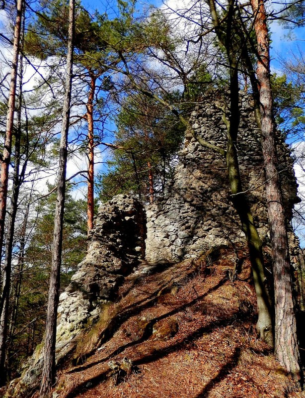 800px-Lipovský_hrad16Slovakia13[1].JPG