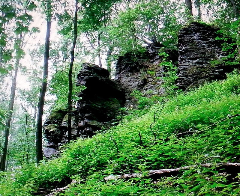 800px-Hrad_Bodoň_16Slovakia1[1].JPG