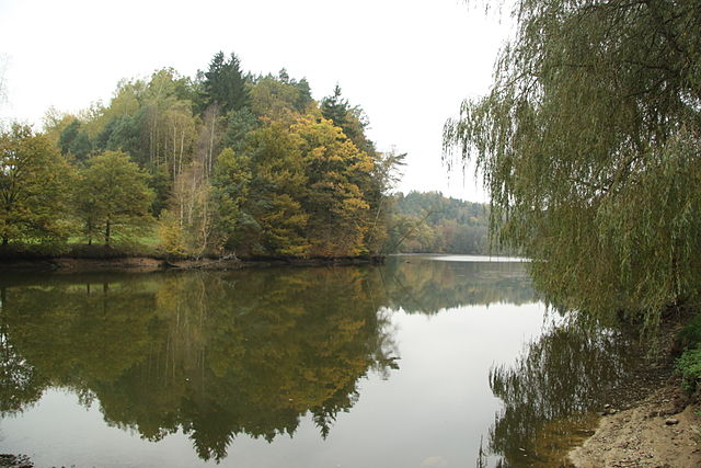 640px-Krčák_pond_in_nature_reserve_Podtrosecká_údolí,_Semily_District.JPG