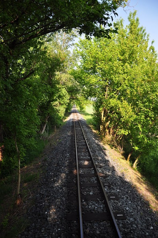 597px-Kolínská_řepařská_drážka-trať[1].jpg