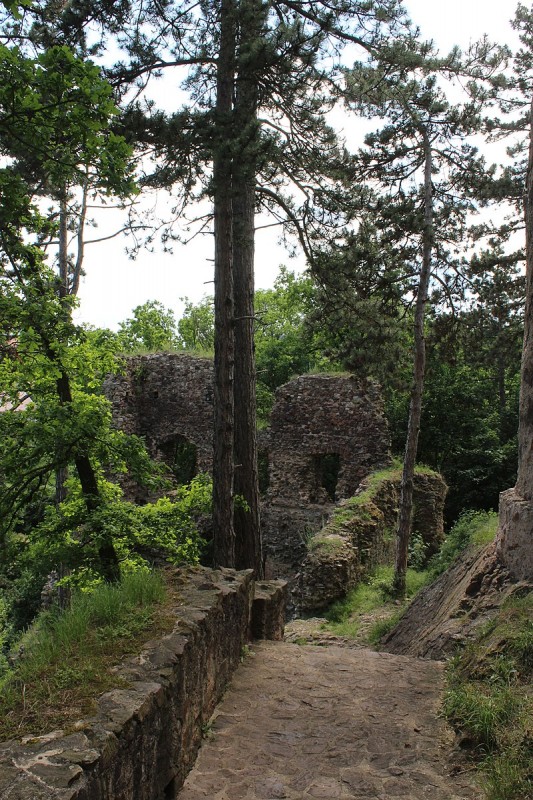 800px-087_Točník_hrad_Žebrák_JZ[1].jpg