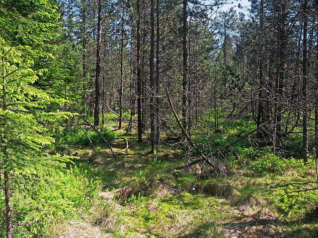 640px-Podkovák_Nature_Reserve_(CZE).jpg