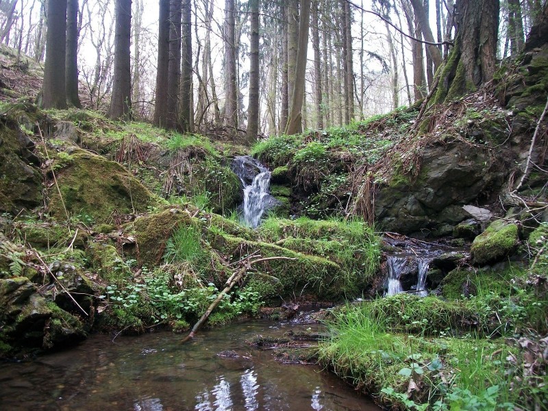 Olešenský_potok_(Berounka).jpg