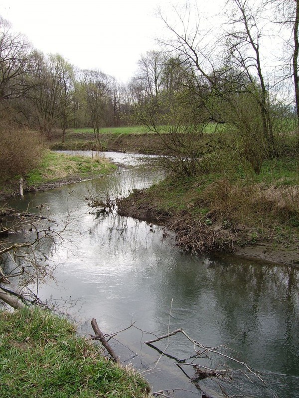 800px-Meanders_in_Lucina01.JPG