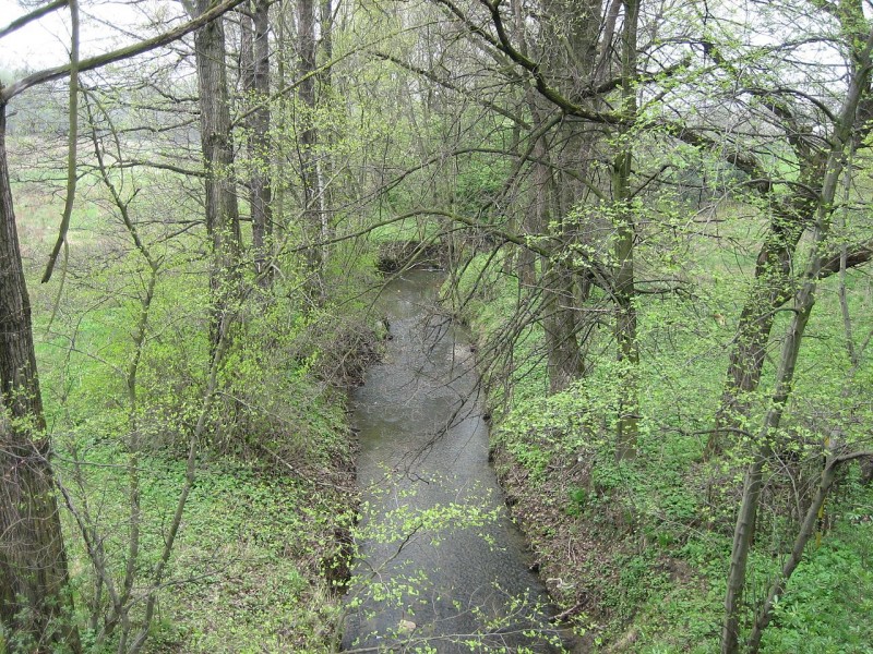 Potok_Venclůvka_(lidově_též_Dolní_Datyňka).JPG