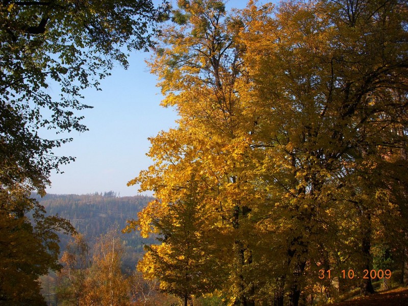 Hradec_nad_Moravicí,_Czech_Republic_-_panoramio.jpg