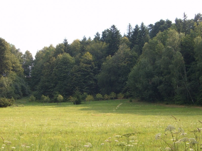 Kunčice_pod_ondřejníkem,_beskydy_-_panoramio_-_viandisto.jpg