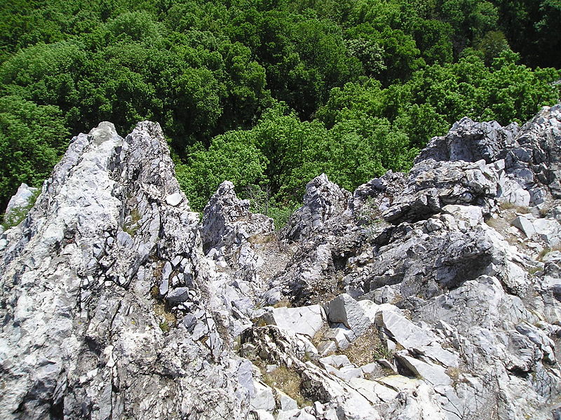 800px-Zobor_pohľad_dolu_-_panoramio[1].jpg