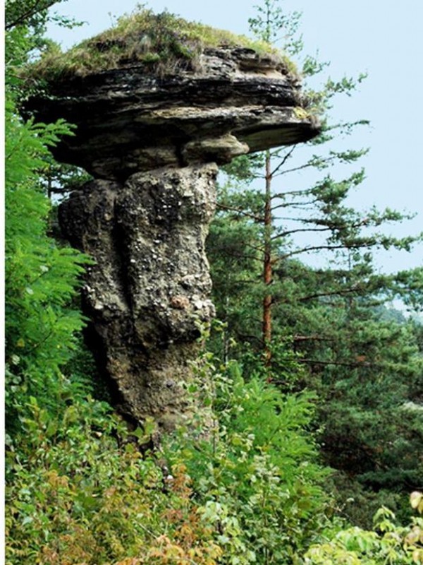 Markušovský skalný hríb.jpg