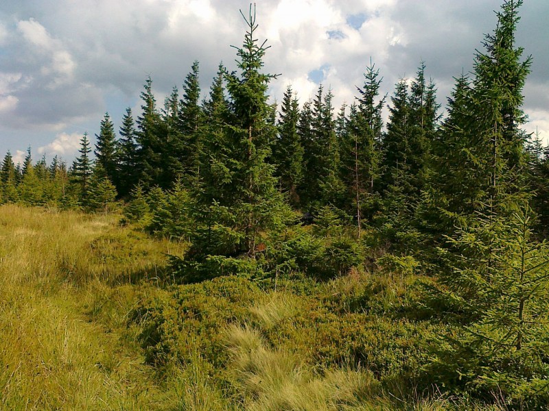 KamziciVrchPeak.jpg