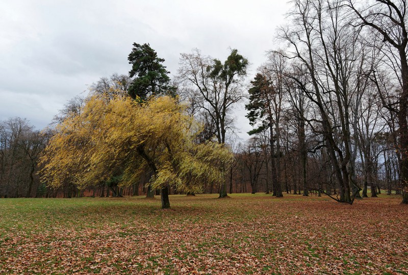 Dobroslavice_zámecký_park_(0737).jpg