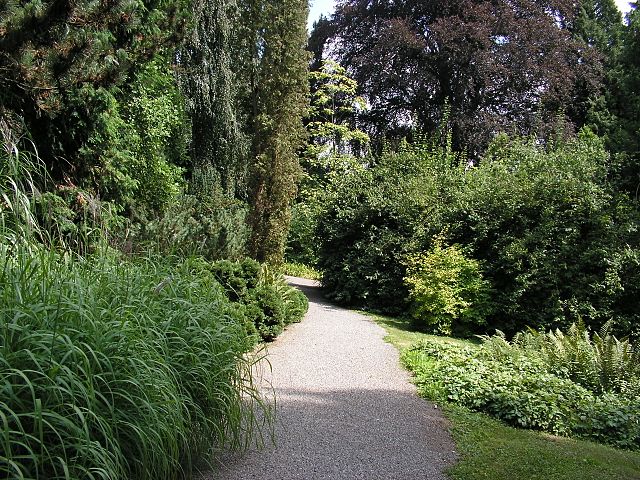 640px-Arboretum_Bílá_Lhota_02.jpg