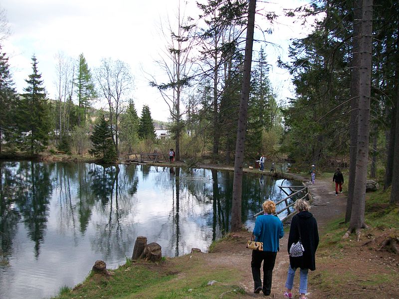 800px-Jazierka_lásky_(1)_-_Štrbské_pleso[1].jpg