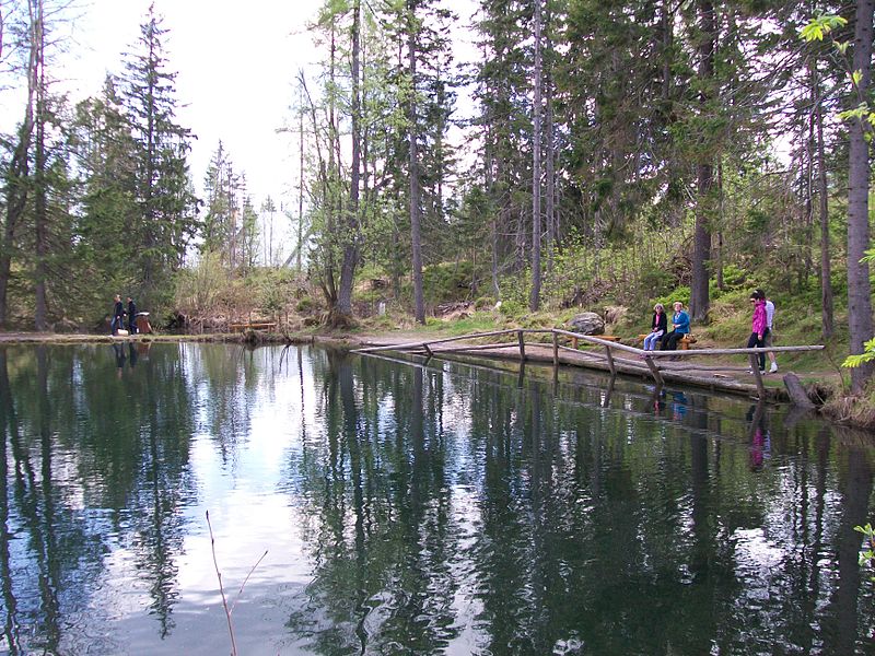 800px-Jazierka_lásky_-_Štrbské_pleso[1].jpg