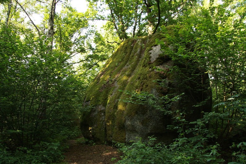 1024px-National_monument_Kynžvartský_kámen_in_summer_2012_(3)[1].JPG