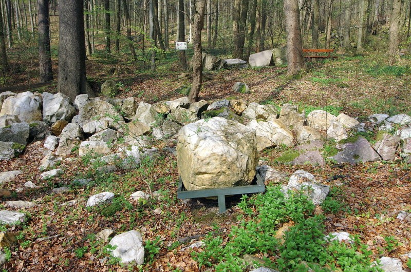 1024px-Mariánské_Lázně_Geopark_7_křemenná_žilovina[1].jpg