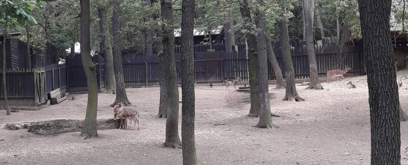 Lesní zoo Malá Chuchle (2).jpg