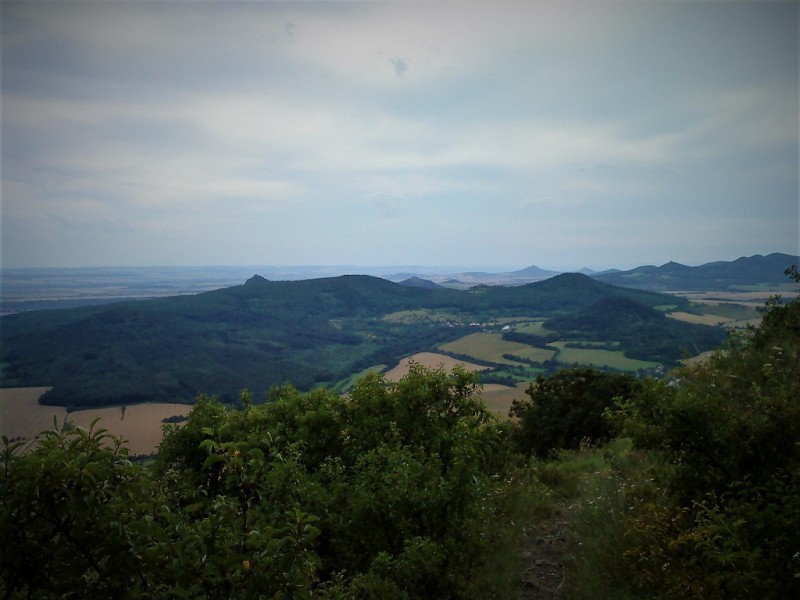 DSC00156.JPG