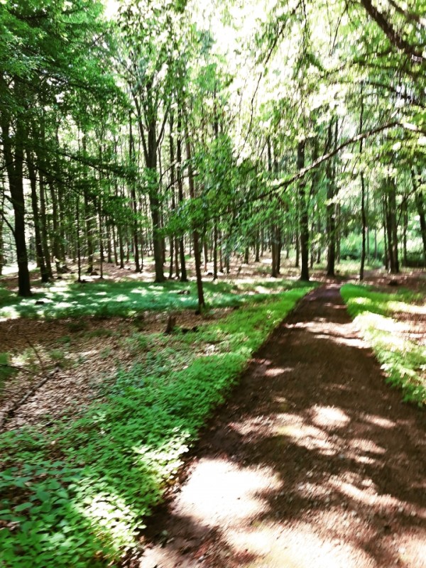 20180520_112645.jpg