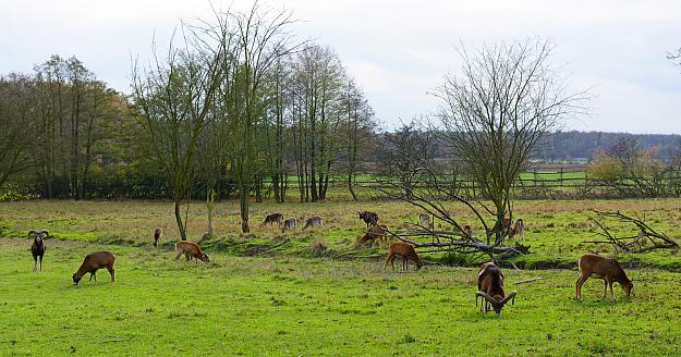 Zoo koutek vysoke chvojno.jpg