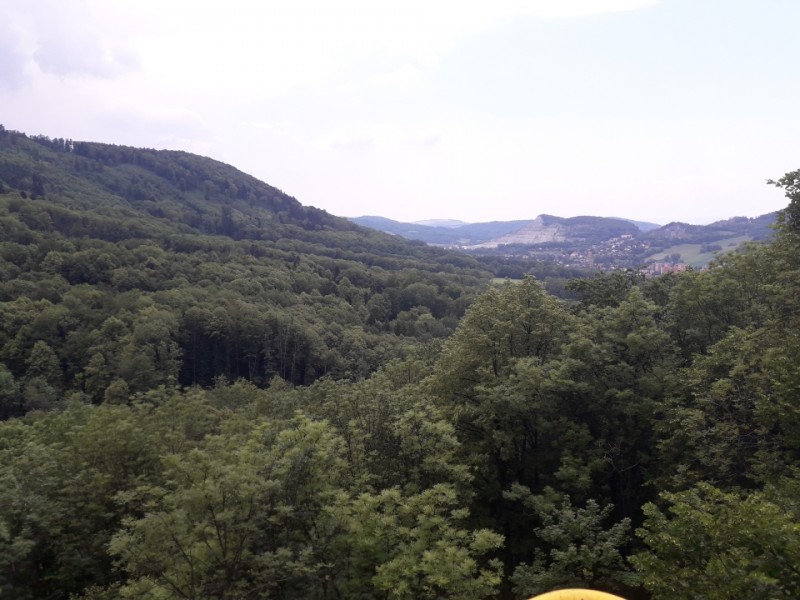 20180527_125316.jpg