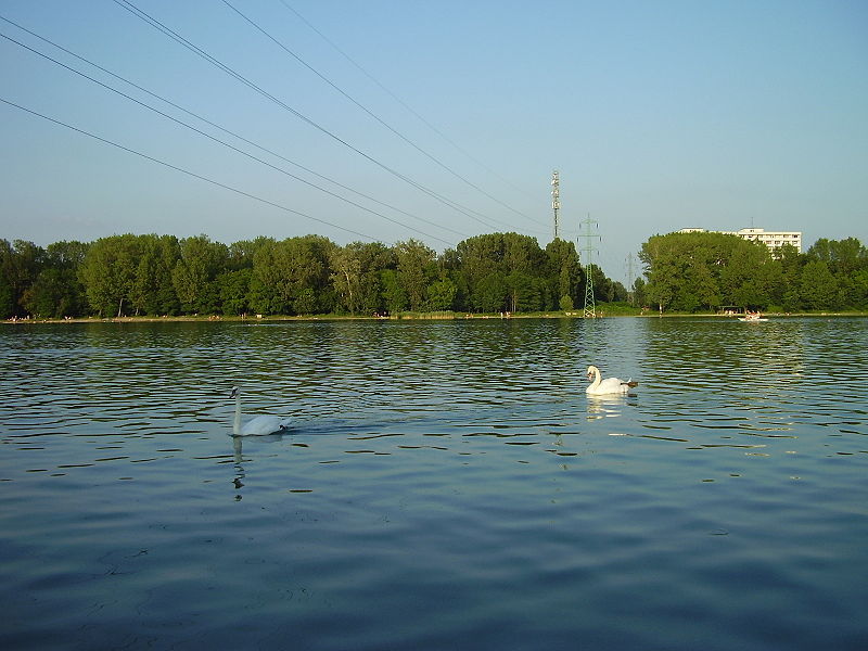 800px-Velkydrazdiak[1].jpg