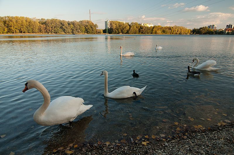 800px-Veľký_Draždiak_-_panoramio[1].jpg