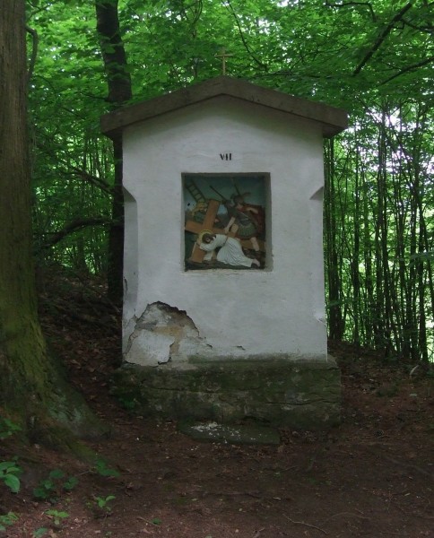 DSCF5727.JPG
