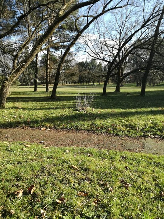 Park 2.jpg