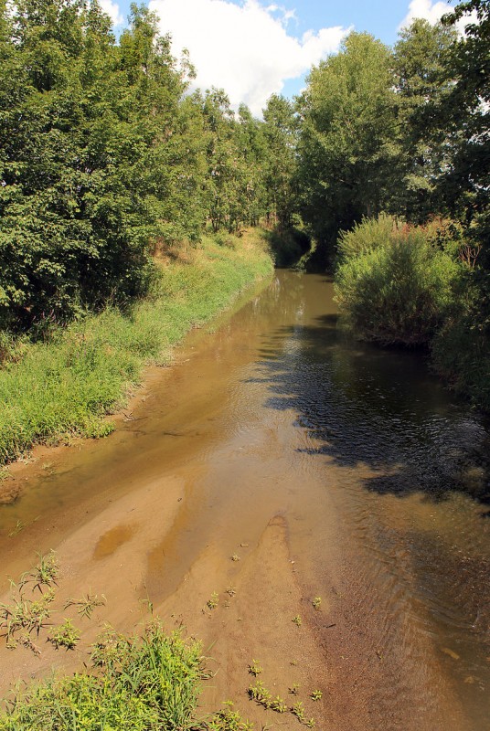 Osvračín,_Zubřina_creek.jpg