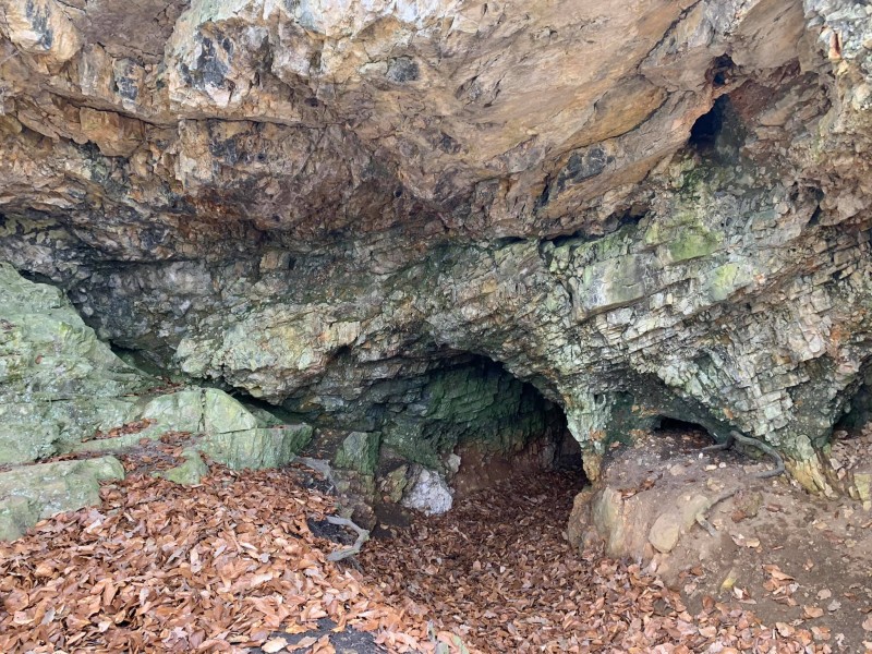 jaskyňa.jpg