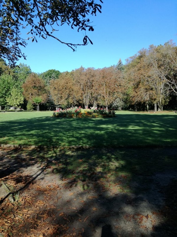 park LC 8.jpg